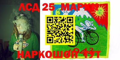 гидропоника Кумертау